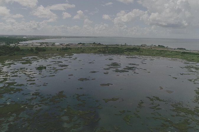 Down South Tour of Trinidad - FAQ: Common Questions About the Down South Tour of Trinidad