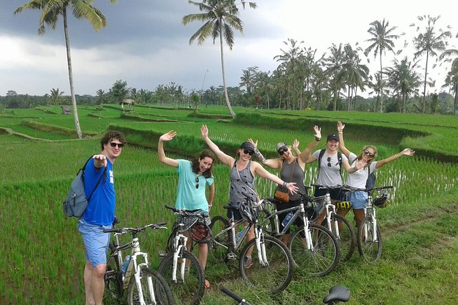 Downhill Bali Countryside Cycling Tour - With Halo Bike Tour - Key Points