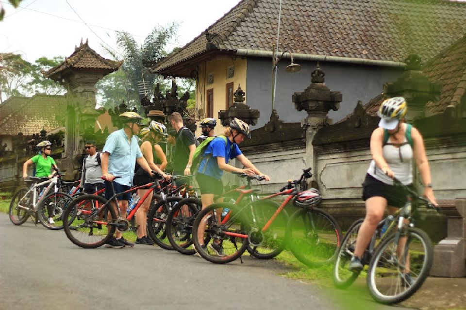 Downhill Bike Tours Through Rice Terrace Jungle With Meal - Tips for Participants