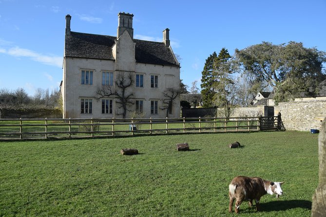 Downton Abbey Town and Country Tour Review - Accessibility and Participation