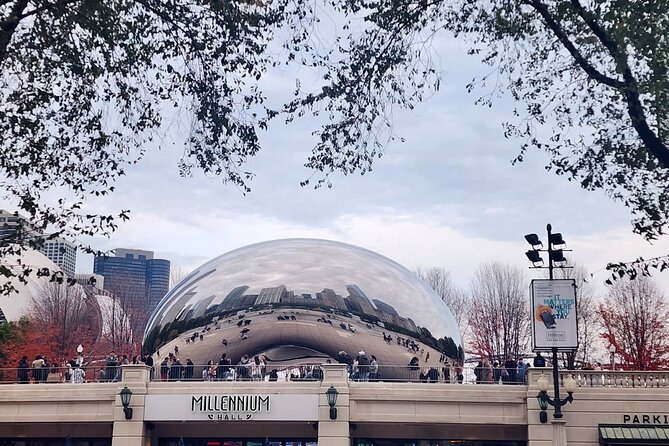 Downtown Chicago Walking Tour - Semi-Private 12ppl Max - Tips for a Great Experience