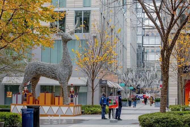 Downtown DC Holiday Tour: Lights, Decorations & Festive Cheer - An In-Depth Look at the Itinerary