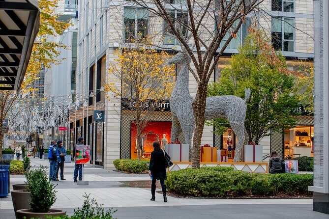 Downtown DC Holiday Tour: Lights, Decorations & Festive Cheer - Final Thoughts