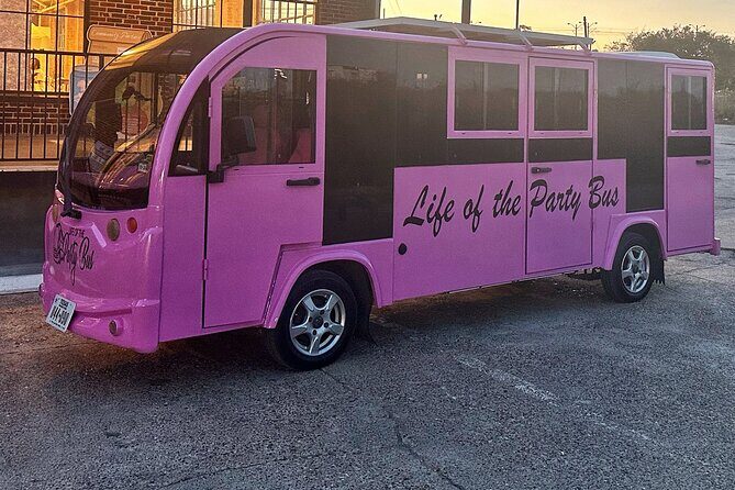 Downtown Houston Shared Karaoke Tour - A Closer Look at the Experience