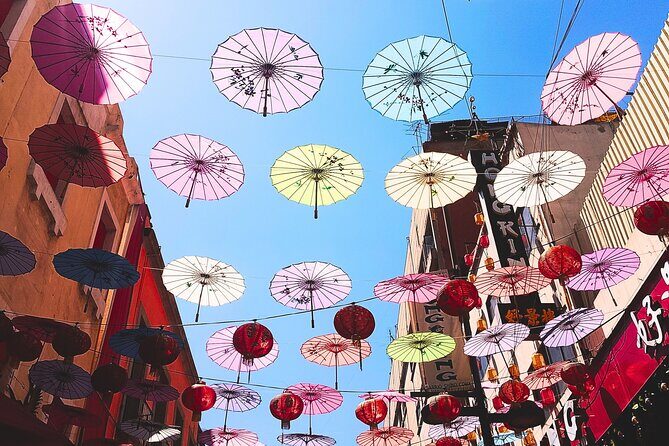 Downtown Mexico City and Bellas Artes entrance Private Tour - FAQ