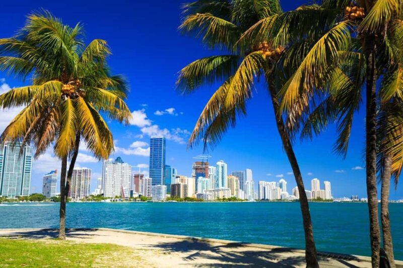 Downtown Miami Tour with Millionaires Row Cruise Tickets - Analyzing the Value