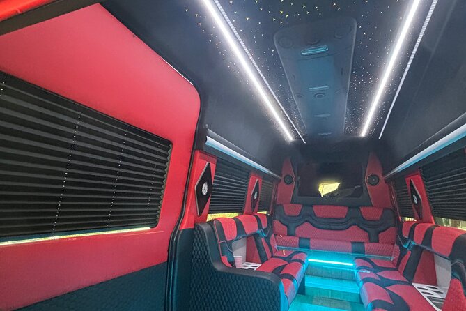 Downtown New York Taxi and Limousine Review - Tour Experience