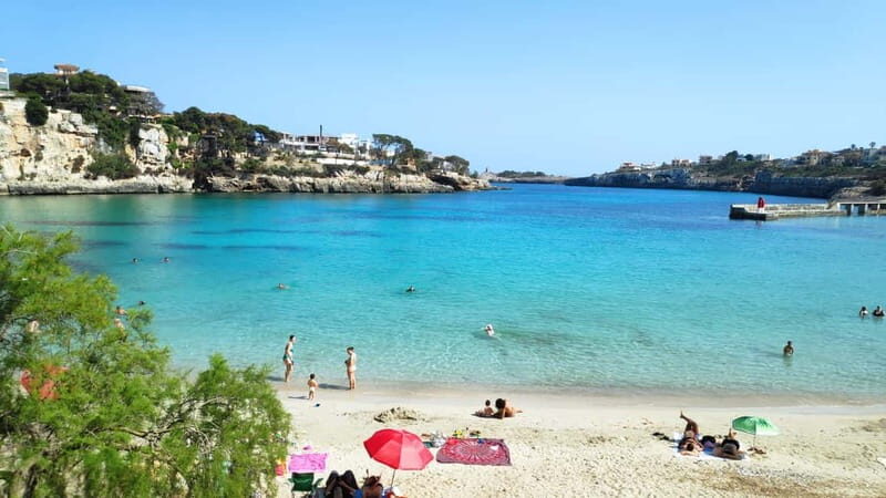 Drach Caves and Palma or Beach Retreat  Full-Day Tour - An In-Depth Look at the Experience