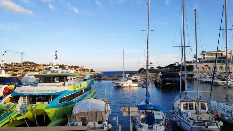 Drach Caves and Palma or Beach Retreat  Full-Day Tour - Returning to Palma: Reflection and Relaxation