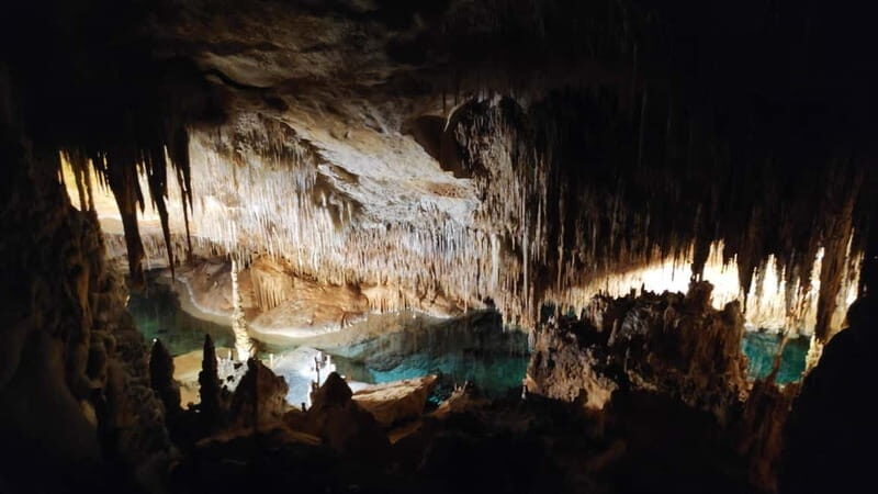 Drach Caves and Palma or Beach Retreat  Full-Day Tour - Who Should Consider This Tour?