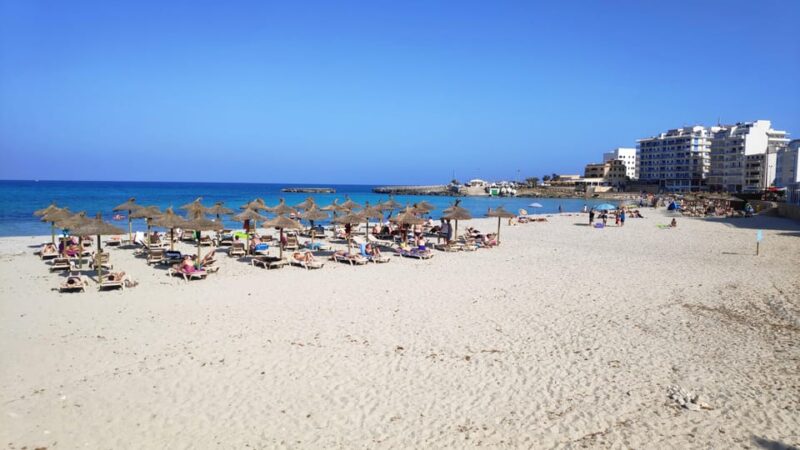 Drach Caves and Palma or Beach Retreat – Full-Day Tour - Key Points
