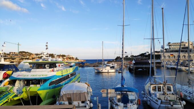 Drach Caves and Palma or Beach Retreat – Full-Day Tour - Frequently Asked Questions