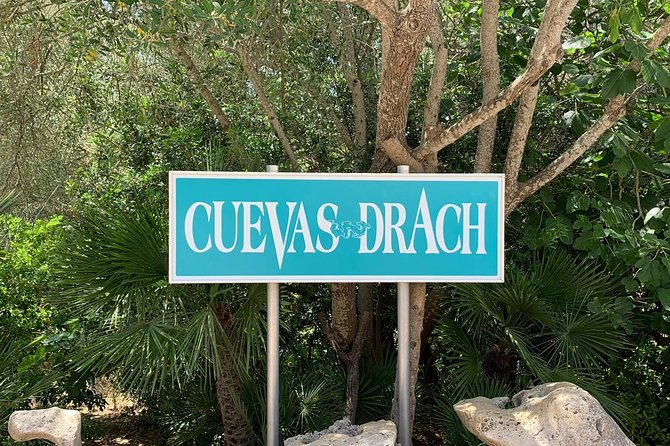 Drach Caves, Porto Cristo & Pearl Shop Mallorca Half Day Tour - Feedback From Travelers