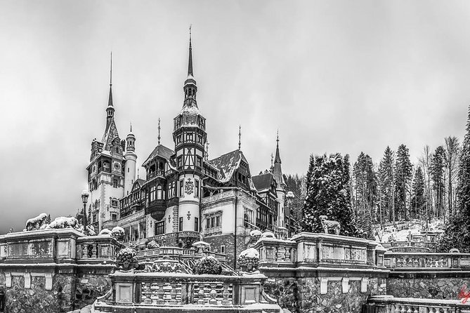Draculas Castle, Peles Castle and Brasov - Private Day Trip From Bucharest - Dining Experiences