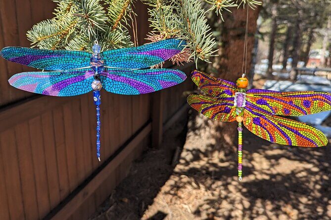 Dragonfly Suncatcher Art Kit in Estes Park - An In-Depth Look at the Dragonfly Suncatcher Experience