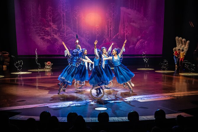 Drawn to Life Presented by Cirque Du Soleil and Disney - Practical Considerations: Ticketing and Accessibility
