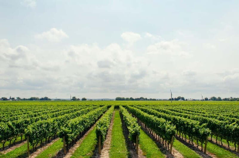 Dream Tour Kavala, Philippi, Lydia Baptisma Site & Winery - Discover the Charm of Northern Greece with the Dream Tour Kavala