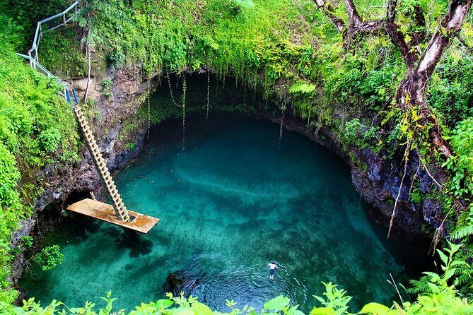 Dreams Flora Resort - Round Trip Shuttle - Punta Cana Airport - Summary of the Trip: From Airport to Paradise