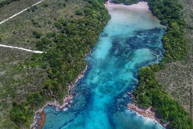 Dreams Flora Resort - Round Trip Shuttle - Punta Cana Airport - Who Should Use This Shuttle?