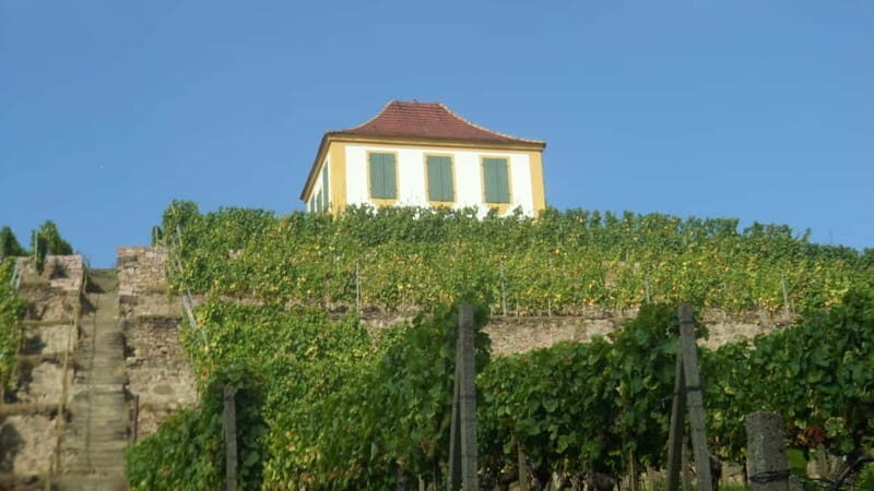 Dresden: Boat Cruise with Wine Tasting and Snacks - Key Points