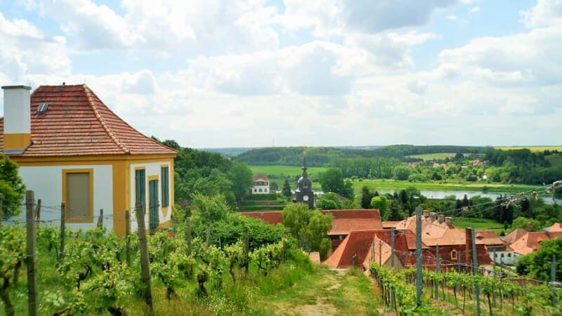 Dresden: Boat Cruise with Wine Tasting and Snacks - The Sum Up