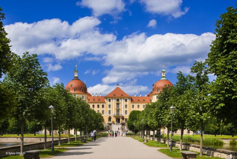 Dresden Regio Card for 1, 2, or 3 Days - Key Points