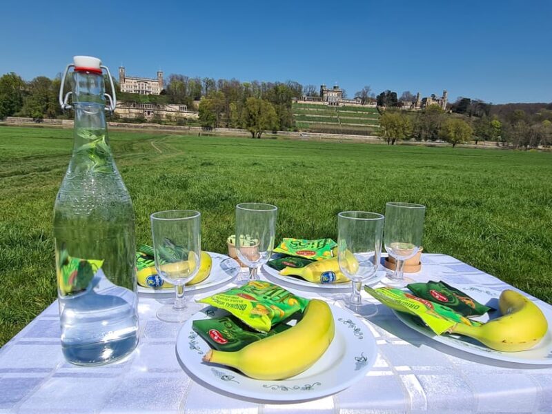 Dresden Sightseeing per Rad mit Guide, Prosecco, Eierschecke - Discovering Gardens and Hidden Spots
