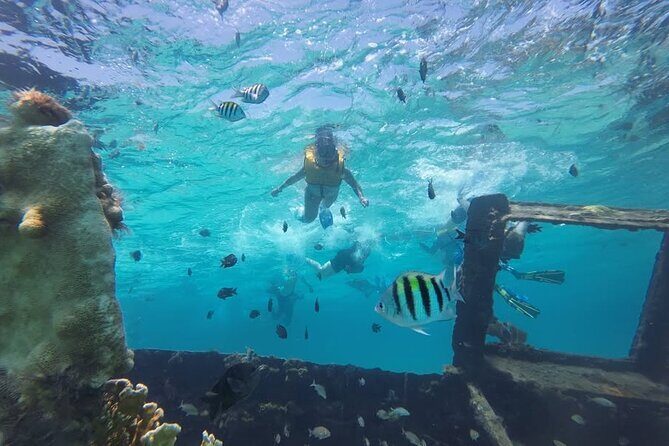 Drive an Speedboat at full speed at Cancun's Lagoon & Snorkeling - Practical Tips for Making the Most of Your Tour