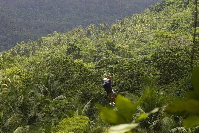 Drive and Fly - Buggy and Zipline - Key Points