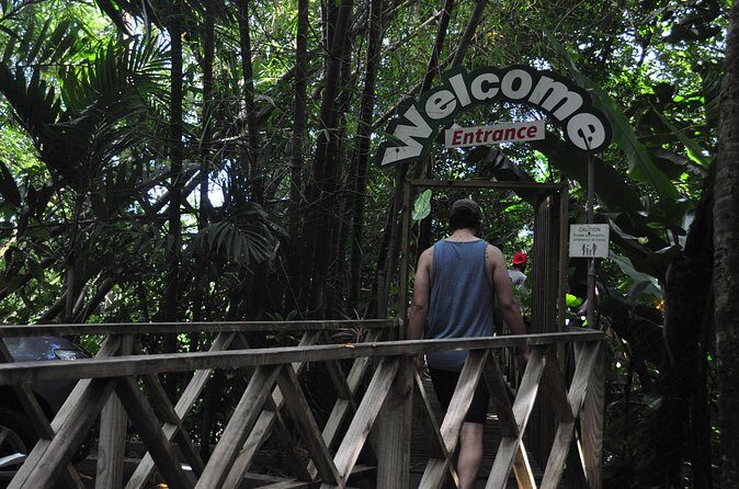 Drive and Fly - Buggy and Zipline - Who Would Enjoy This Tour?