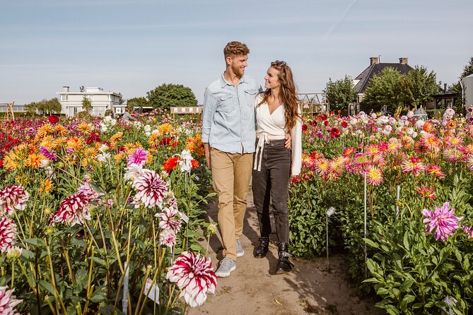 Drive It Yourself Electric Dune & Summer Flower GPS Audio Tour - Tour Stops and Attractions