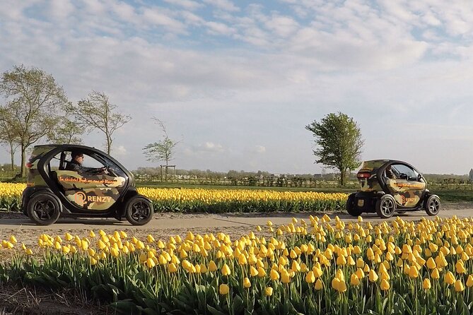Drive It Yourself Electric Tulip and Flower Fields GPS Audio Tour - Pickup and Drop-off