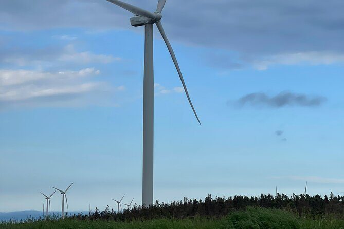 Driving Through Time: A Self-Guided Tour of Tignish to North Cape - Practical Details for Travelers
