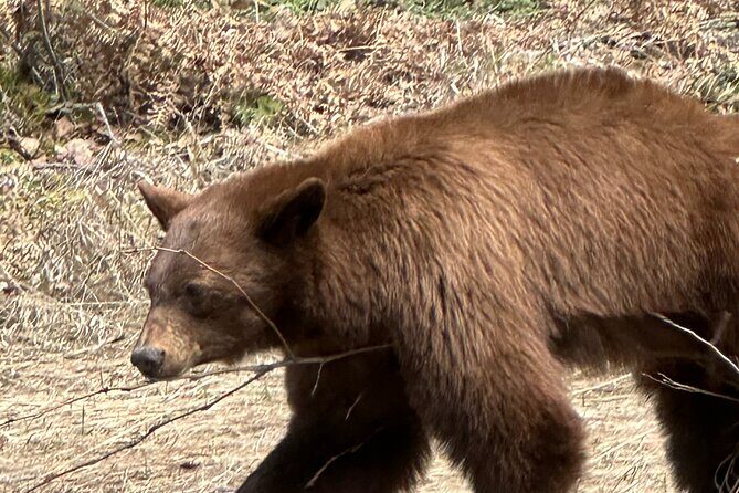 Driving Tour West Glacier National Park (excludes Sun Road) - Final Thoughts