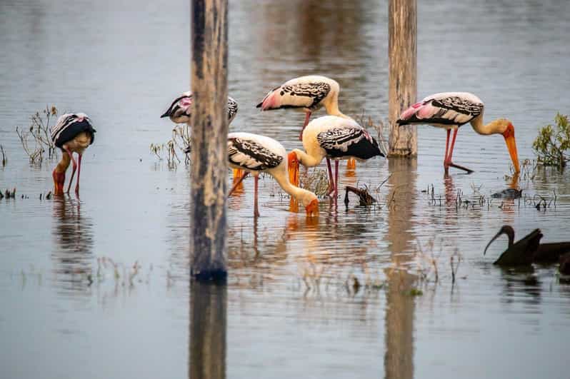 Drop Agra From Delhi See Fasthpur Sikri, Bharatpur Bird Park - Good To Know