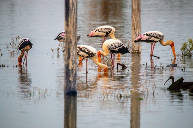 Drop Agra From Delhi See Fasthpur Sikri, Bharatpur Bird Park - Itinerary Breakdown