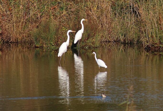 Drop Agra From Delhi See Fasthpur Sikri, Bharatpur Bird Park - Inclusions and Exclusions
