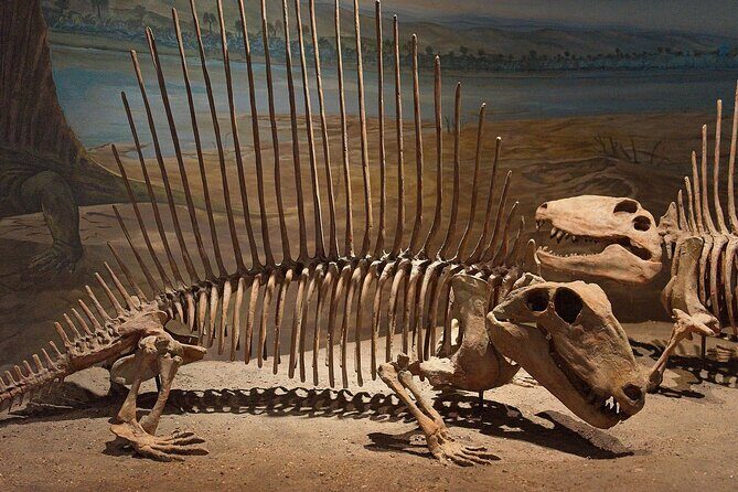 Drumheller and Badlands Full-Day Tour with a Small Group - Royal Tyrrell Museum: The Fossil Hub