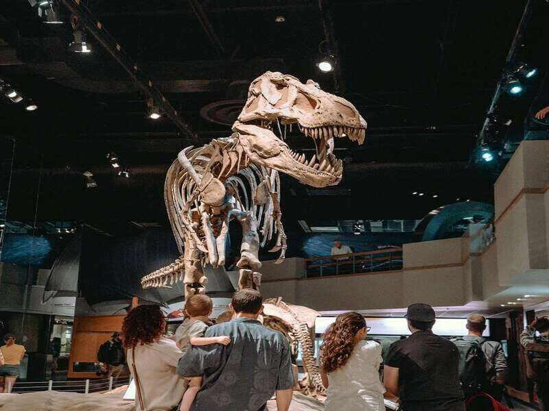 Drumheller: Bad Land & Dinosaur Museum Tour from Calgary - Who This Tour Is Perfect For