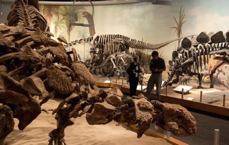 Drumheller: Dinosaurs, Museum, & Hoodoos Day Tour - FAQ