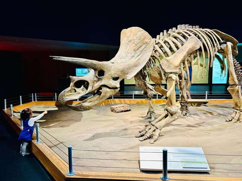 Drumheller Full-day Private Sightseeing Tour - Key Points