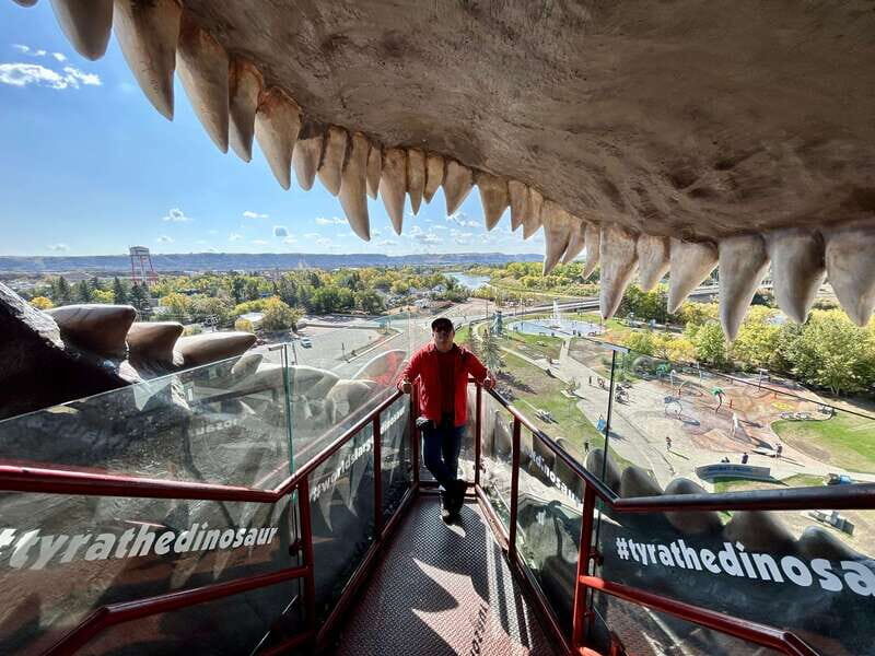 Drumheller Full-day Private Sightseeing Tour - Transportation and Comfort