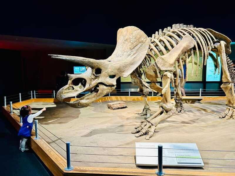 Drumheller Full-day Private Sightseeing Tour - The Value Equation