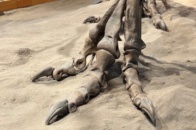 Drumheller & Hoodoos Private Luxury guided Day Tour from Calgary - The Experience Provider: Rockies & Badland Explorers