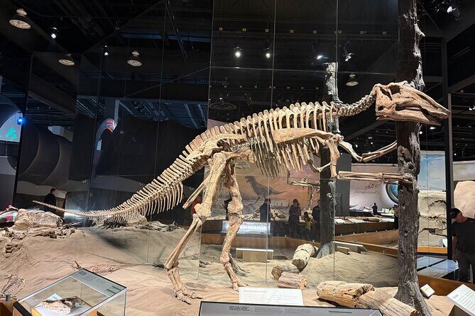 Drumheller & Hoodoos Private Luxury guided Day Tour from Calgary - Final Thoughts