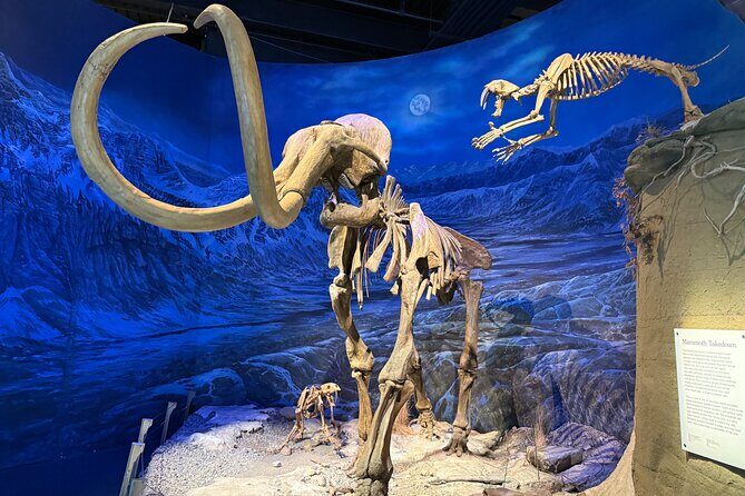 Drumheller & Hoodoos Private Luxury guided Day Tour from Calgary - FAQ