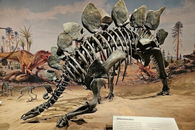 Drumheller, Royal Tyrrell Museum, Hoodoos & Coal Mine Adventure - Authentic Experiences and Traveler Insights