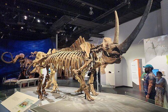 Drumheller, Royal Tyrrell Museum, Hoodoos & Coal Mine Adventure - The Sum Up