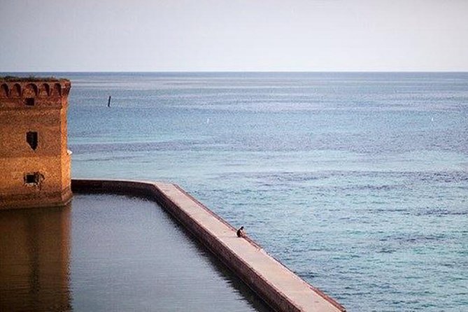 Dry Tortugas National Park Day Trip by Catamaran From Key West - Catering and Onboard Amenities