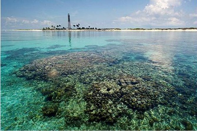 Dry Tortugas National Park Day Trip by Catamaran From Key West - Snorkeling and Beach Exploration